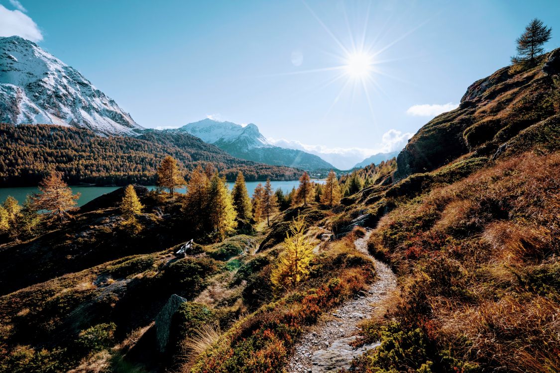 Обои природа, спасибо за праздник, растение, гора, экорегион в разрешении 6000x4000