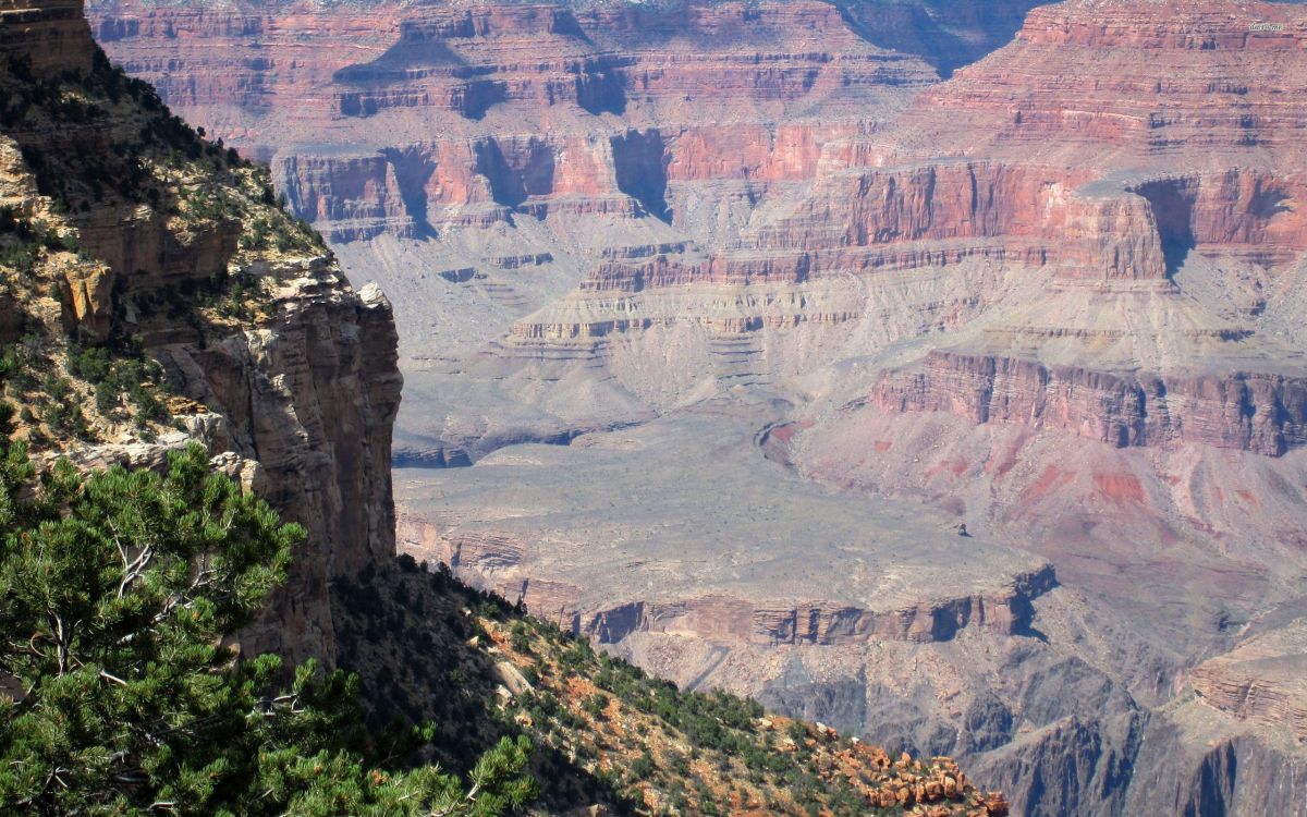Обои национальный парк Гранд каньон, каньон, национальный парк, достопримечательность, парк в разрешении 2560x1600