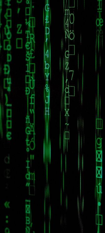 Обои зеленый, наземное растение, публикация, растение, узор в разрешении 1080x2400