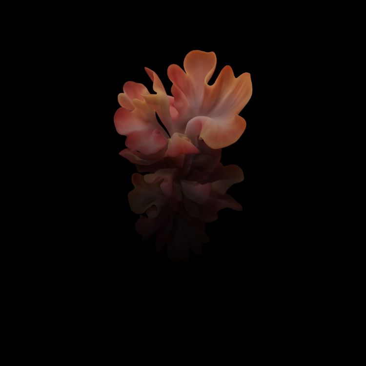 Обои Samsung Galaxy, Samsung, Samsung Galaxy Z Flip, разблокирован, смартфон в разрешении 2636x2636