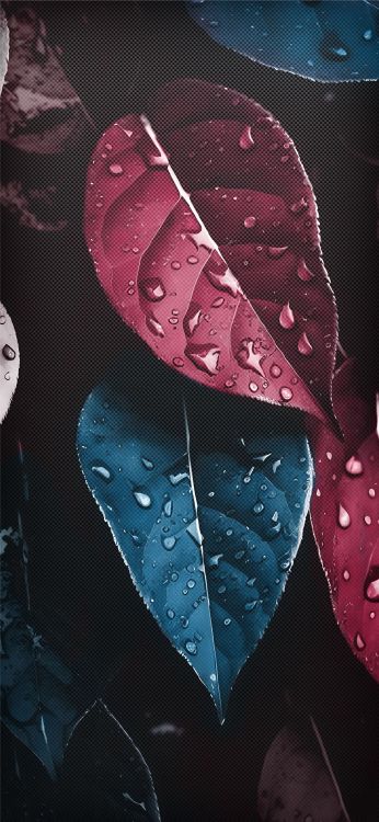 Обои узор, 2024 год, вода, растение, жидкий в разрешении 1080x2340