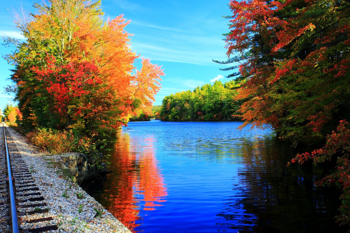 Обои озеро, осень, природа, дерево, лист в разрешении 5760x3840