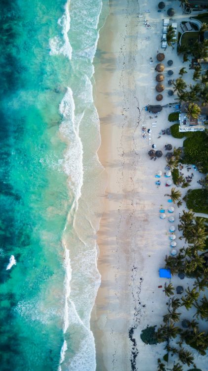 Обои отражение, вода, гидроресурсы, растение, лазурный в разрешении 1080x1920