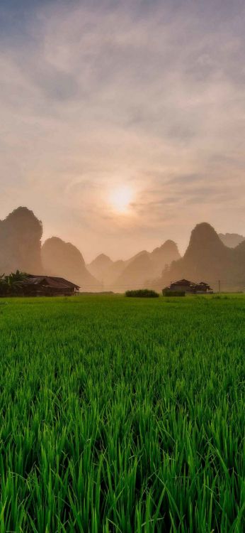 Обои поле, смартфон, природа, природный ландшафт, горный рельеф в разрешении 1080x2340