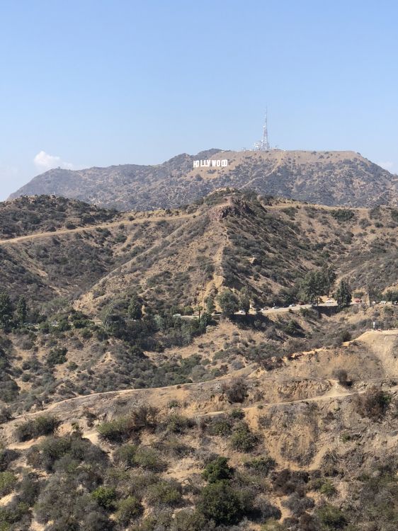 Обои Знак Голливуда, горный рельеф, растительное сообщество, холм, нагорье в разрешении 1536x2048