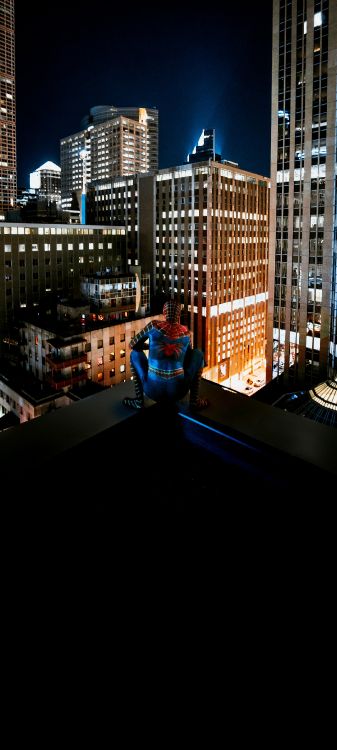 Обои человек-паук, здание, супергерой, комиксы Марвел, комиксы в разрешении 2160x4800