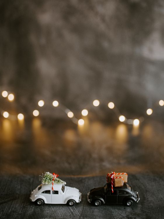 Обои гоночный автомобиль, модель автомобиля, Король, Радиоуправляемая машина, пейзаж в разрешении 6192x8256