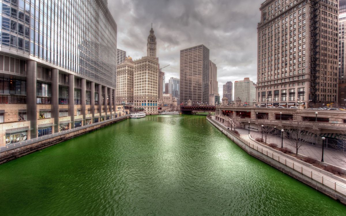 Обои река Чикаго, Чикаго, город, водный путь, городской район в разрешении 2560x1600