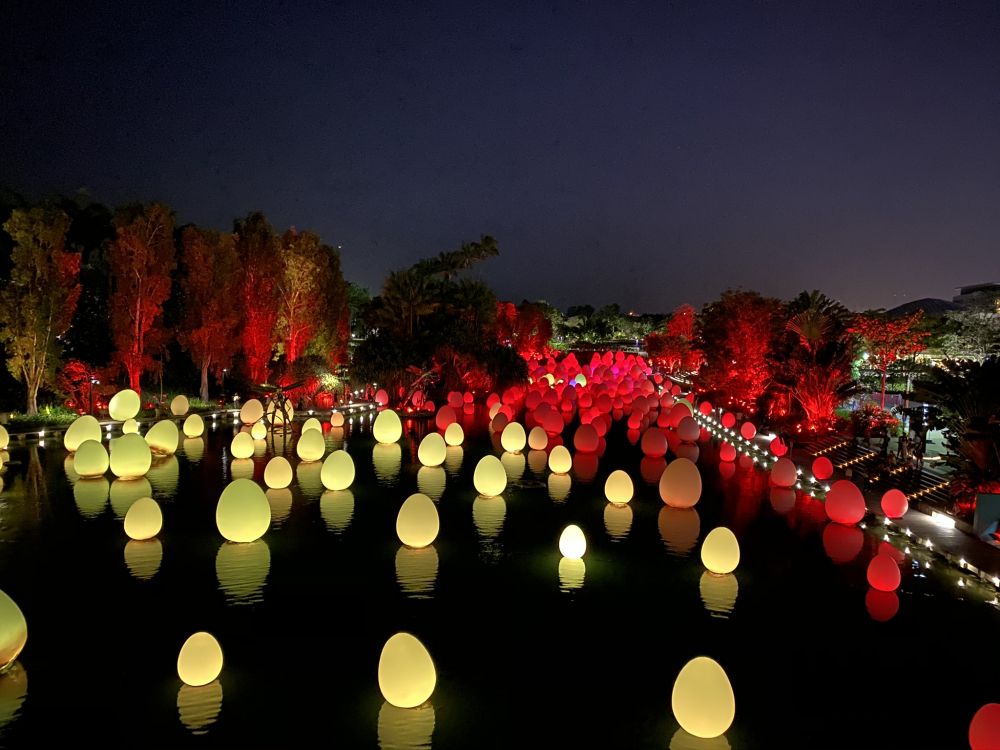 Обои Сингапур, природа, ландшафтное освещение, ночь, красный цвет в разрешении 2048x1536