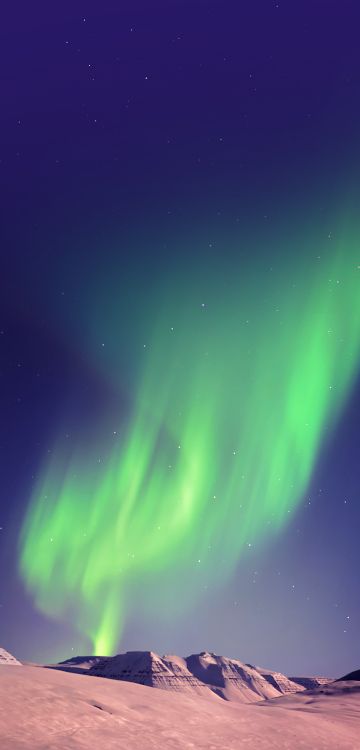 Обои  Infinix Hot 6X, xiaomi redmi note 8 pro, xiaomi redmi 8, смартфон, Xiaomi Ми 8 в разрешении 720x1500