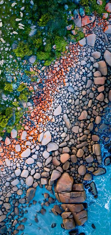 Обои отражение, лист, окружающая среда, ботаники, природный ландшафт в разрешении 1420x3000