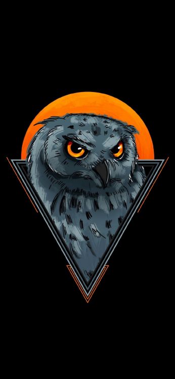 Обои голова, птица, глаз, сова, клюв в разрешении 1080x2340