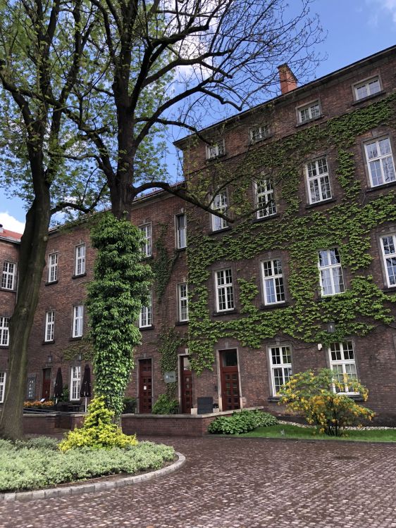 Обои Хаус, окно, свойство, здание, жилой район в разрешении 1536x2048