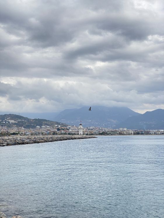 Обои Plover Cove Country Park, гидроресурсы, вода, облако, гора в разрешении 1536x2048