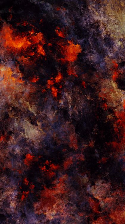 Обои атмосфера, лист, окружающая среда, ветвь, Апельсин в разрешении 1680x3000