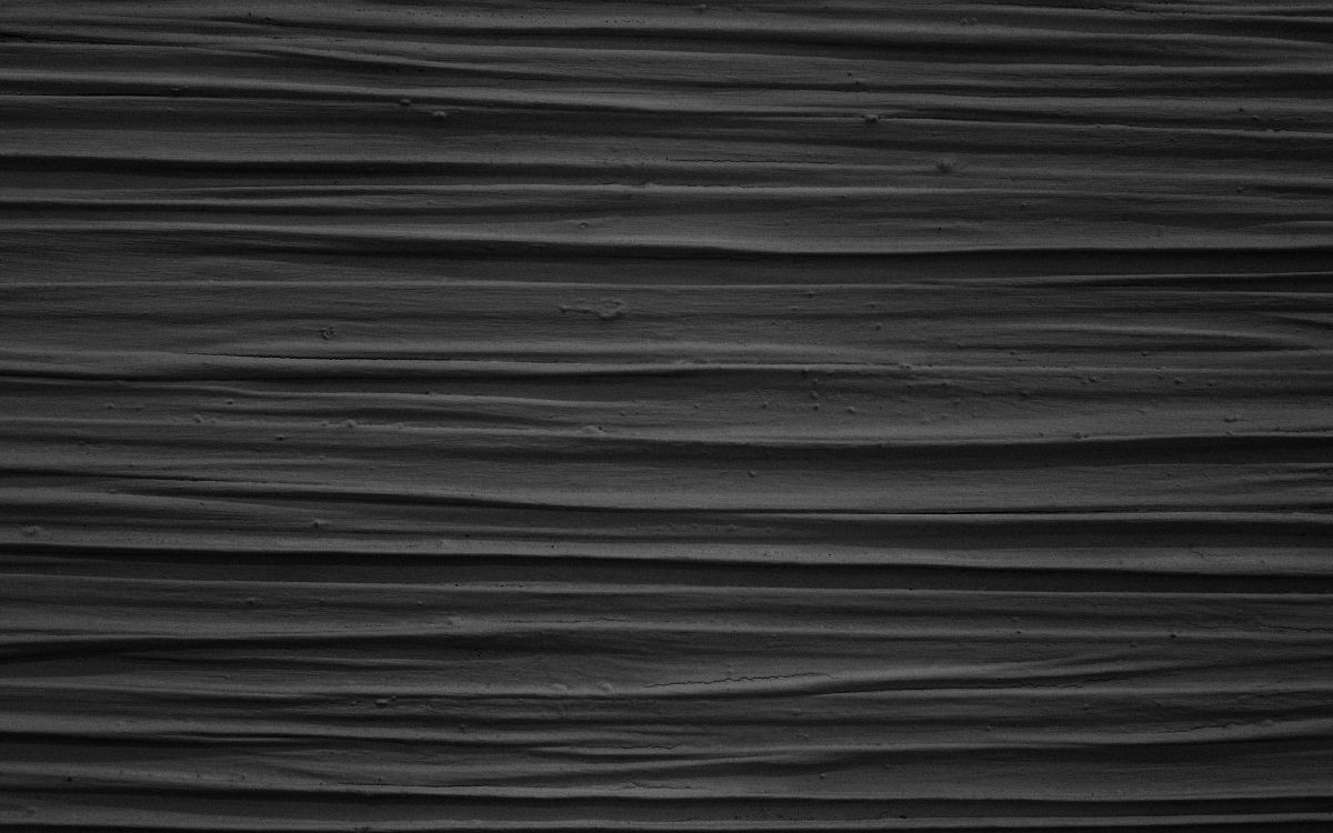 Обои черный и белый, черный, древесина, небо, монохромный режим в разрешении 3840x2400