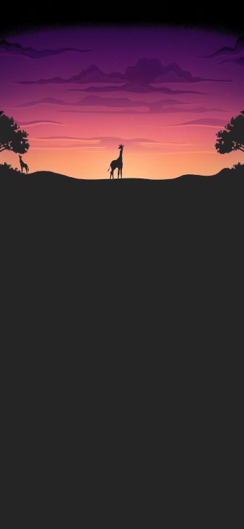 Обои облако, атмосфера, экорегион, природный ландшафт, ветвь в разрешении 1170x2532