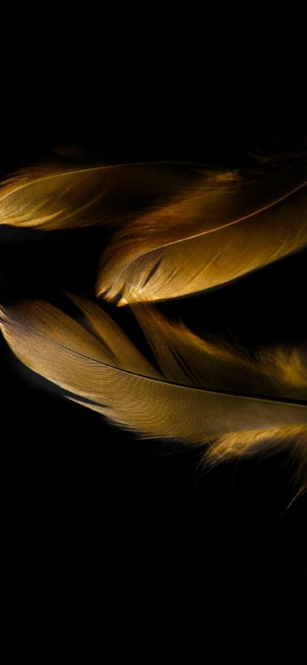 Обои Huawei Mate 20, Huawei Mate 9, huawei mate 30, huawei mate 20 x, huawei mate 20 pro в разрешении 1080x2340