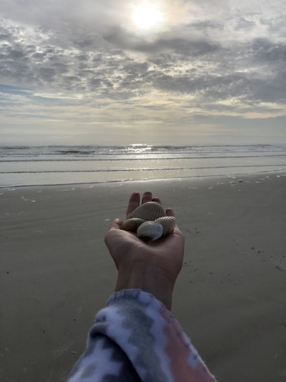 Обои море, наука, физика, водоем, человек в разрешении 1536x2048