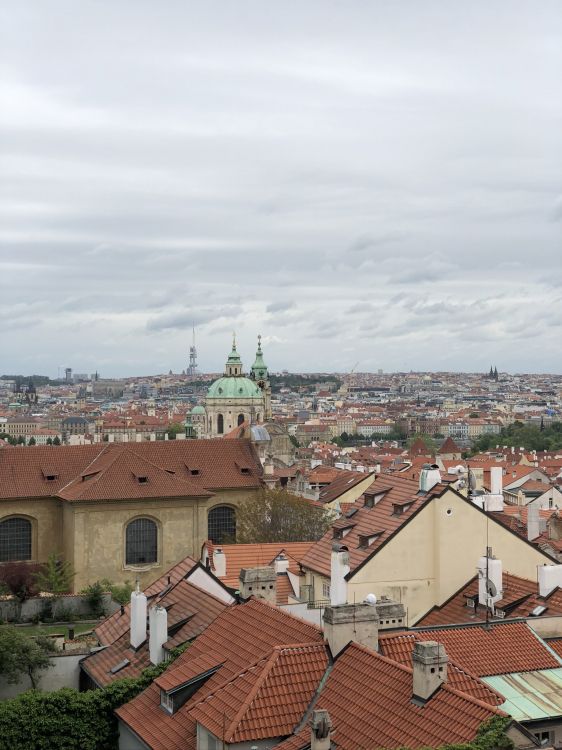 Обои водоем, природа, растительность, архитектура, жилой район в разрешении 1536x2048