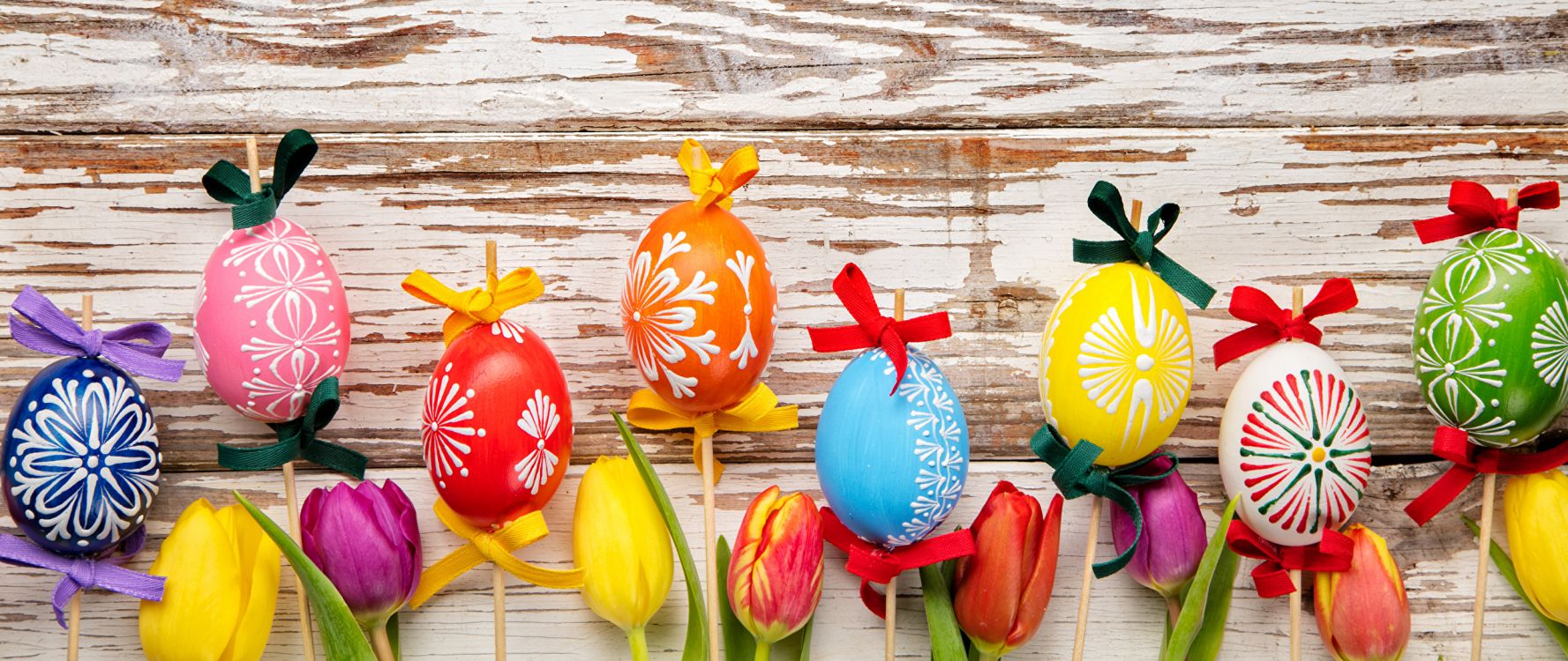 Обои пасхальное яйцо, тюльпаны, пасха, букетик, Тюльпан в разрешении 2560x1080