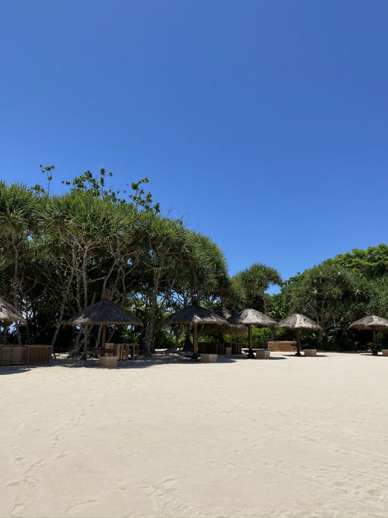 Обои вода, песок, тень, пляж, тропическая зона в разрешении 1536x2048