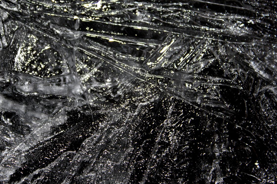 Обои вода, черный и белый, черный, монохромный, дерево в разрешении 3000x2000