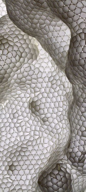 Обои бостонский музей изящных искусств, бумплей, диджей вантиго, раскат грома, подходящее время для любви в разрешении 1080x2400