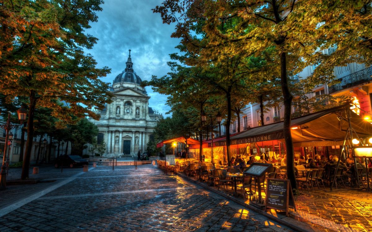 Обои Парижский университет, дерево, ориентир, городок, осень в разрешении 2560x1600