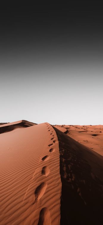 Обои арт, графика, коричневый цвет, древесина, горизонт в разрешении 1284x2778