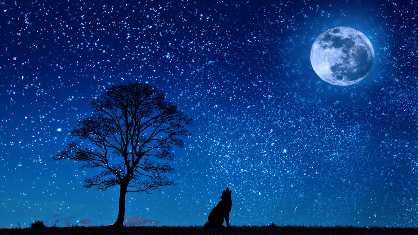 Обои луна, природа, ночь, лунный свет, звезда в разрешении 5120x2880