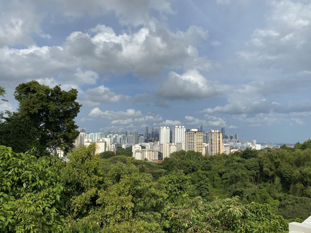 Обои растительность, дневное время, свойство, облако, соседство в разрешении 2048x1536