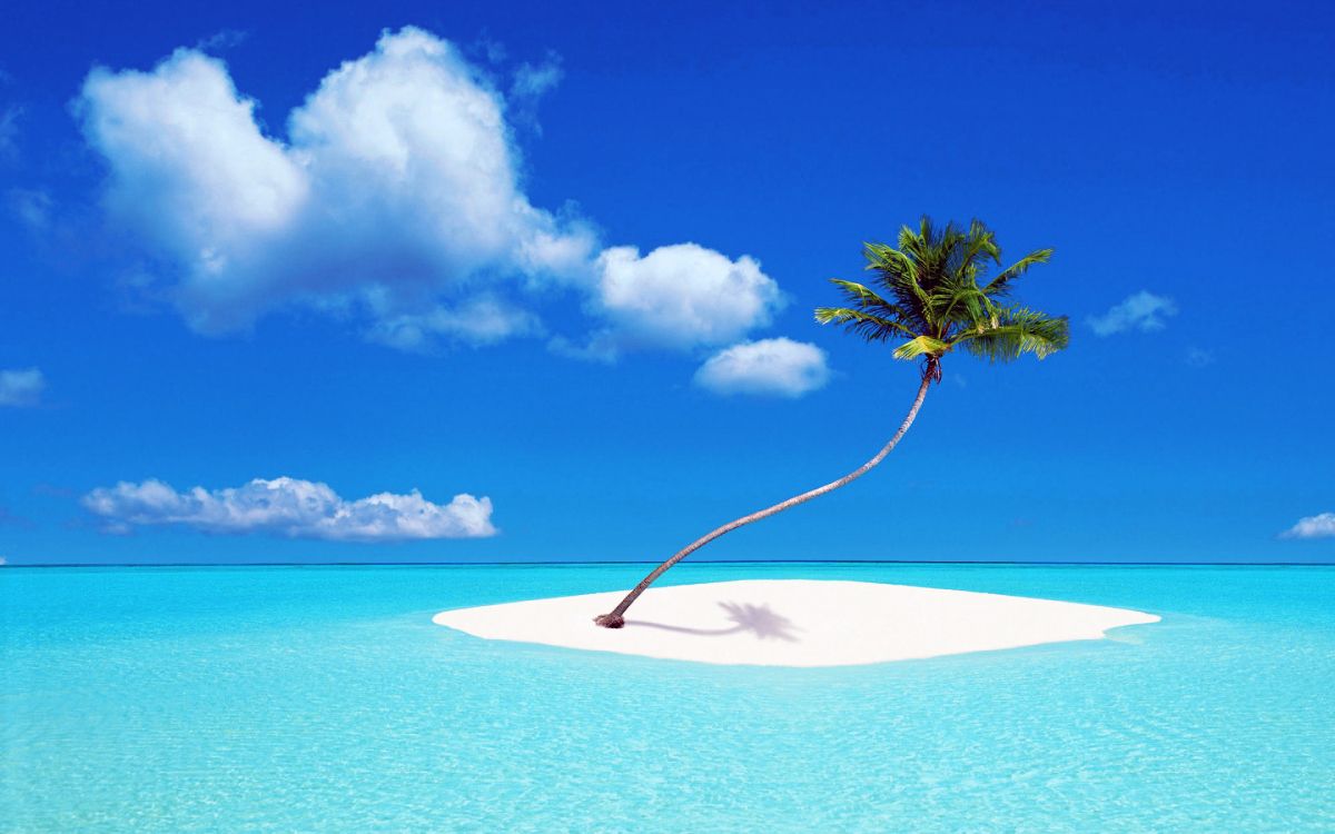 Обои тропическая зона, лазурный, дневное время, Карибский бассейн, океан в разрешении 2880x1800