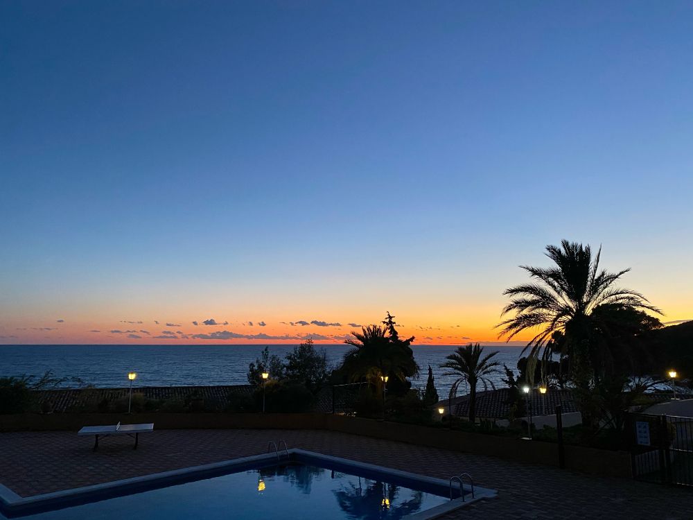 Обои пальмовые рощи, вода, недвижимость, сумрак, закат в разрешении 4032x3024