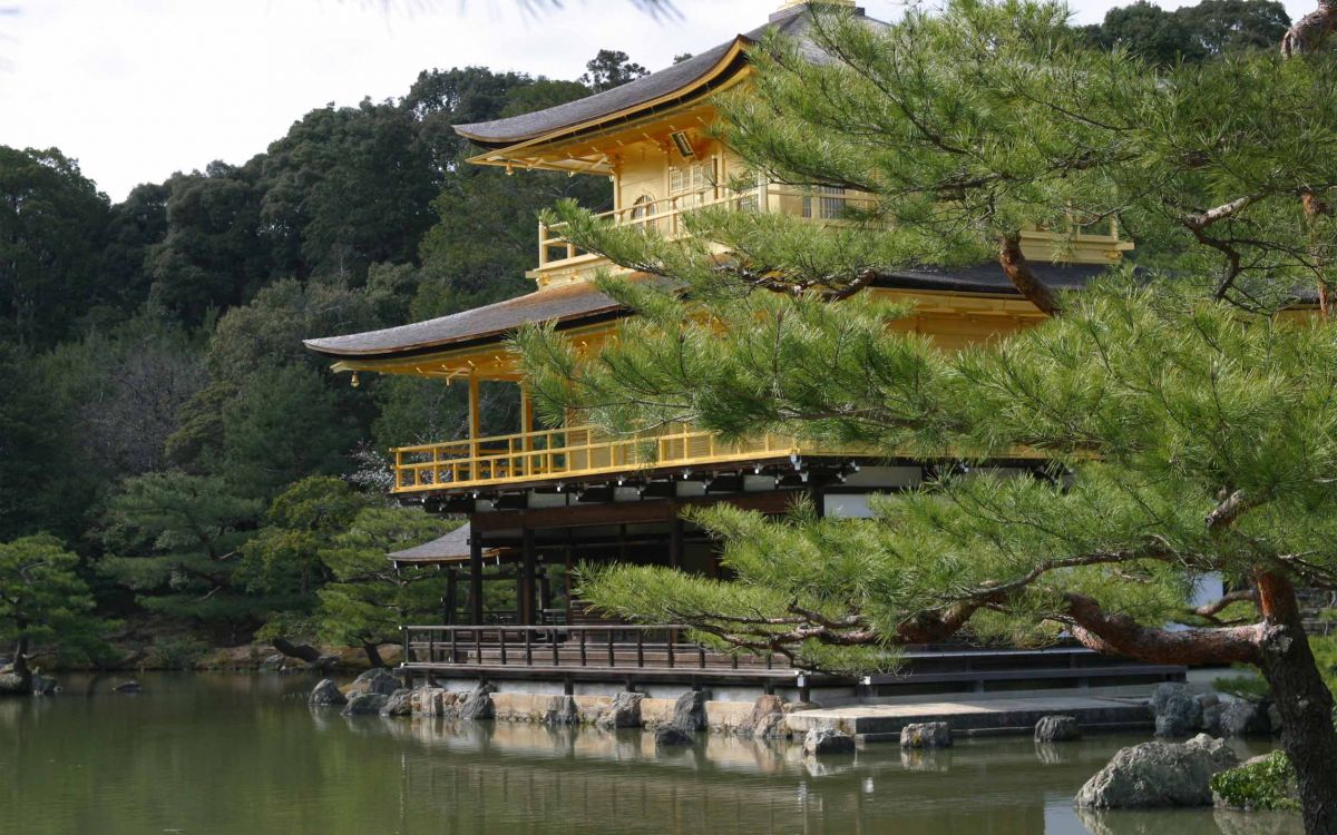 Обои японская архитектура, китайская архитектура, храм, дерево, пагода в разрешении 2560x1600