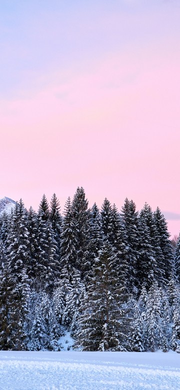 Зима обои на iPhone X / XS, лучшие 1125x2436 картинки | Akspic