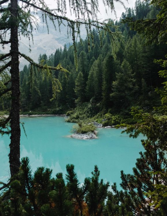 Обои водоем, озеро, елово пихтовые леса, старовозрастные леса, окружающая среда в разрешении 3539x4580