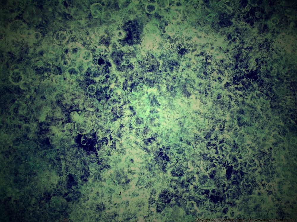 Обои растительность, мрамор, зеленый, вода, лист в разрешении 2560x1920