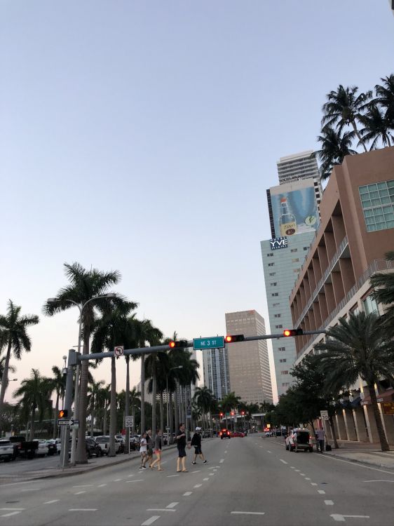 Обои Король, дорога, инфраструктура, дорожное покрытие, улица в разрешении 1536x2048