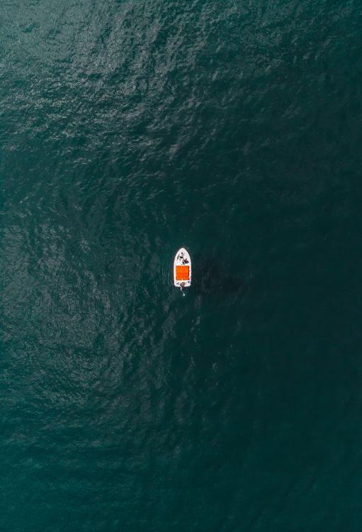 Обои ветровая волна, жизнь, море, волна, вода в разрешении 2759x4047