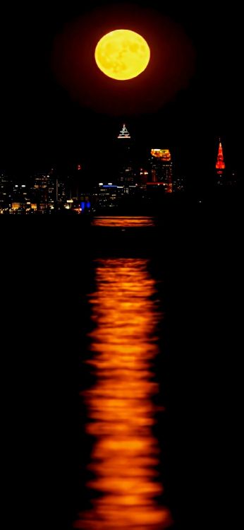 Обои ночь, вода, гидроресурсы, жидкий, свет в разрешении 1080x2340