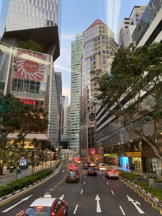 Обои Король, дорога, башня, городской район, инфраструктура в разрешении 1536x2048