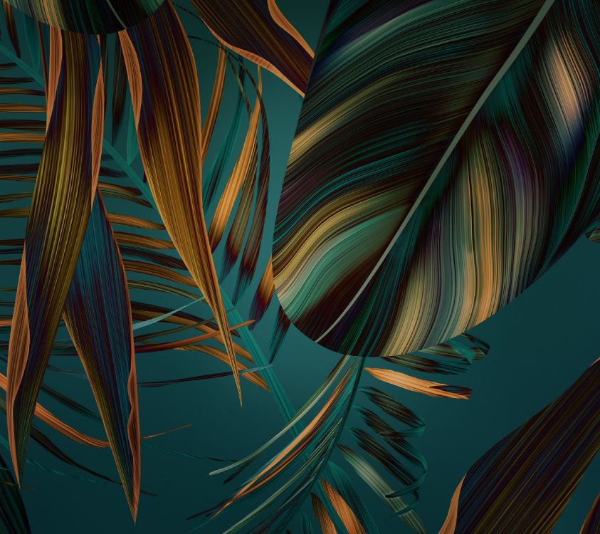 Обои Huawei, Huawei Mate, Huawei Mate 10, huawei mate 10 акции, Huawei Mate 10 Pro в разрешении 2880x2560