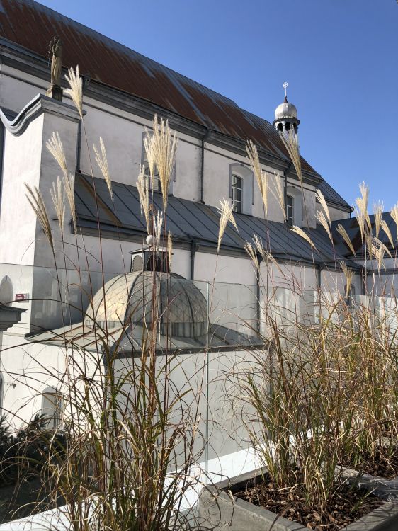 Обои крыша, недвижимость, Хаус, флерон, многолетнее растение в разрешении 1536x2048