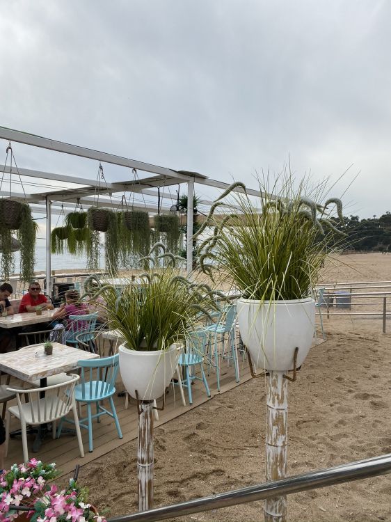 Обои дерево, биология, наука, растение, мебель в разрешении 1536x2048