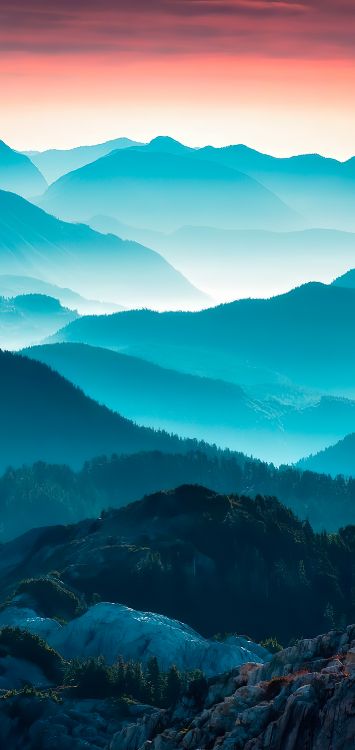 Обои саммит, фэшн, Харперс Базар, Вейбо, 1886 в разрешении 1422x3000