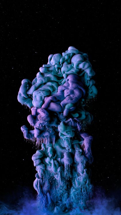 Обои жидкий, зеленый, пурпур, лепесток, морская биология в разрешении 1440x2560