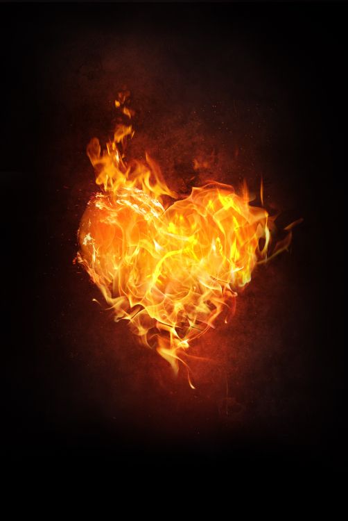 Обои пламя, огонь, сердце, тепло, Апельсин в разрешении 4000x5969