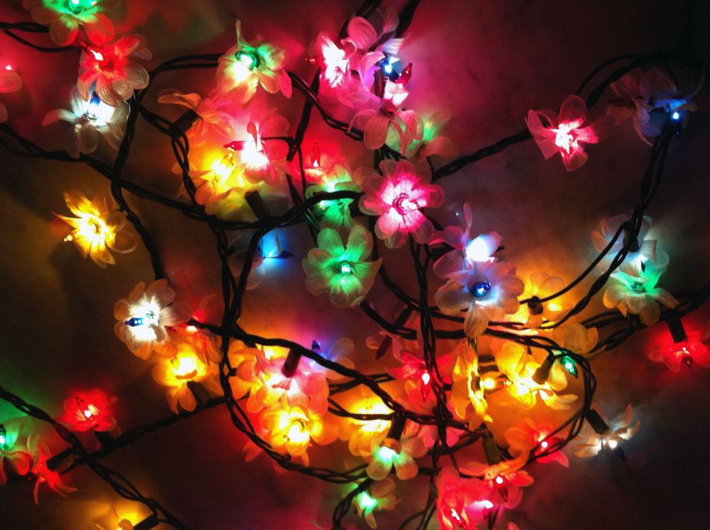 Обои Рождественские огни, освещение, свет, цветок, Рождественский день в разрешении 2592x1936