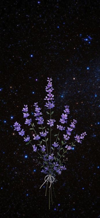 Обои гейсориза, использовал, Создайте, блог, идея в разрешении 1720x3728